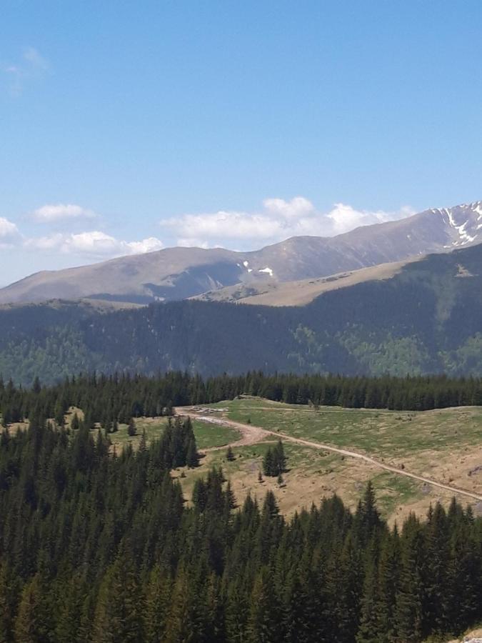 Piatra Rancii Hotel Ранка Екстериор снимка